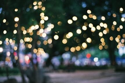 Artistic bokeh photograph of lights glowing in a serene garden setting.